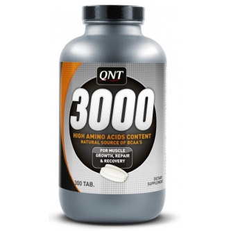    QNT 3000 Aminos with BCAA 300