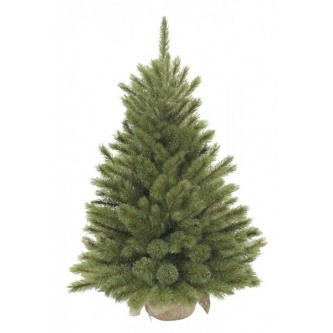    Triumph Tree 45  ( )