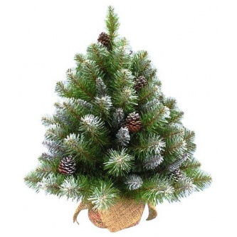 ��� � ������� Triumph Tree ����������� ����������� 60 �� (� �������)