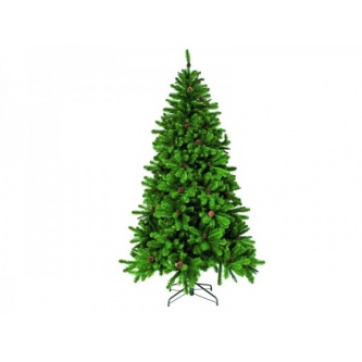 ��� � ������� Triumph Tree ����������� ������� 200 ��