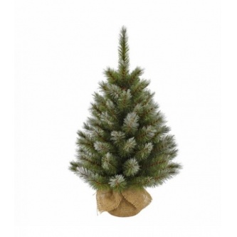  Triumph Tree   90  ( )