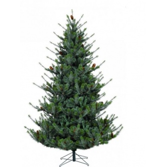 ����� Black Box ������� ����� 230 ��