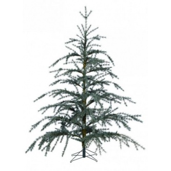 ����������� Black Box 155 ��