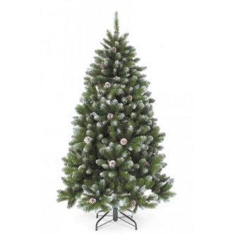 ���� Triumph Tree ����������� ����������� � ������� 185 ��