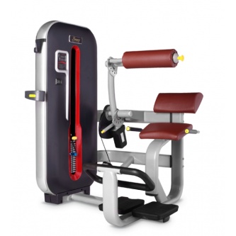 �������� ��� ����� Bronze Gym MT-009