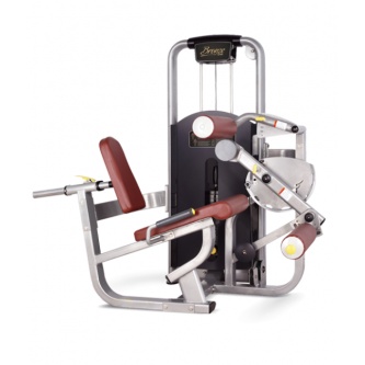    Bronze Gym MV-013 C