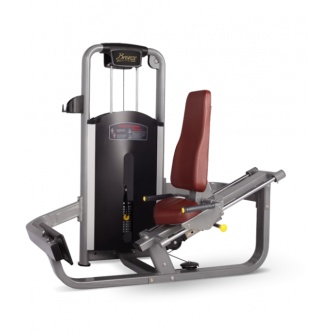 - Bronze Gym MV-017 C