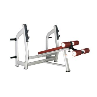 ������ ��� ���� Bronze Gym H-024