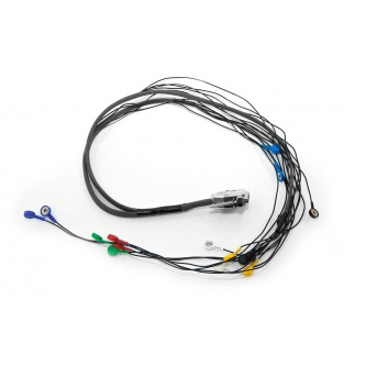 ������ ��� �������� ���� ������