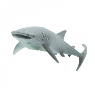 ������� Safari ������� ����� XL