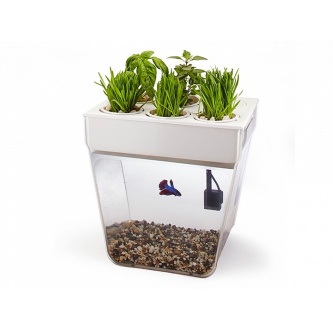 ����� ��� ����������� �������� ����� � ������� ���������