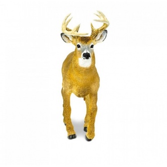 ������� ������� Safari ����������� ����� XL