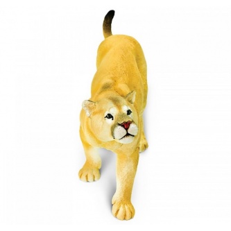 ������� ������� Safari ���� XL