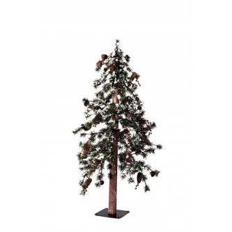   Crystal Trees       120 