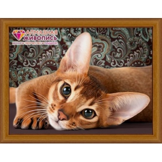 �������� �������� ����� ����������� �����