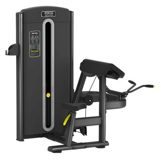 ������-������ Bronze Gym M05-006