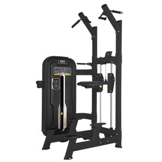 ��������� Bronze Gym MZM-008