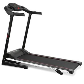   Carbon Fitness T500