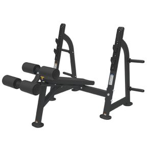    Bronze Gym BR-1013