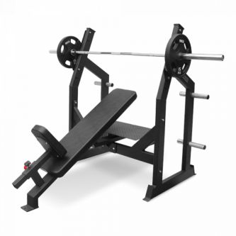 ������� ������ ��� ���� ��������� Bronze Gym AL-305