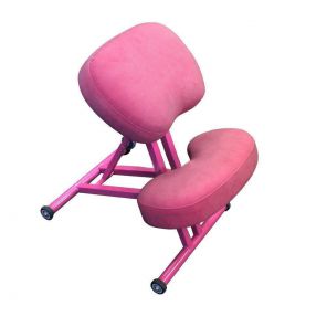 Ортопедический стул Takasima Олимп СК-1-2 розовая рама