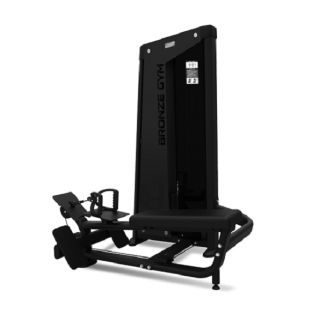 �������������� ���� Bronze Gym NEO 33