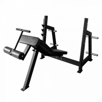 ������ ��� ���� ��� ����� ���� Bronze Gym AL-306