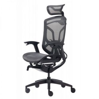 Премиум эргономичное кресло GT Chair Dvary X
