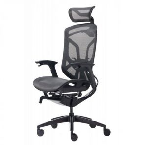 Компьютерное кресло GT Chair Dvary X