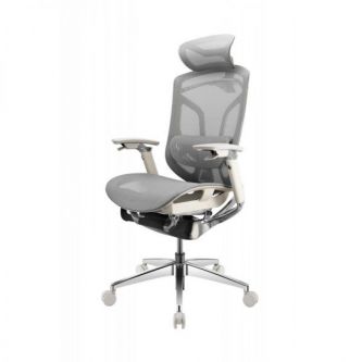 Кресло эргономичное GTCHAIR GT Chair Dvary Pro X, серый