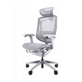   GTCHAIR GT Chair Marrit Pro X, 
