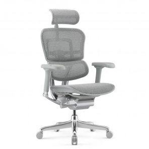  Falto Ergohuman Elite 2 ( / )