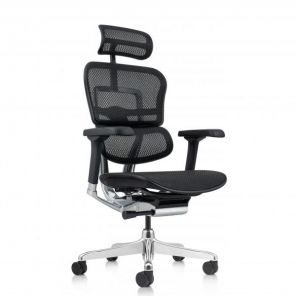  Falto Ergohuman Elite 2 (  /)