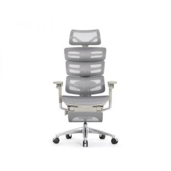   Falto Evolution   ( ,  )