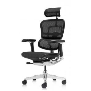 Кресло Falto Ergohuman Luxury 2 ( чёрный каркас/сетка)