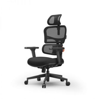    FoxGear NETZ  XO - office edition