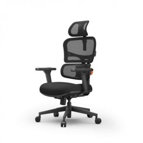 ������ FoxGear NETZ ������ XO - office edition