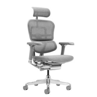 ������������ ������ ������ ���� Falto Ergohuman 2 Luxury ����� , �����