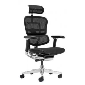 ������ Falto Ergohuman 2 Luxury ����� , ������