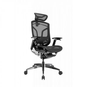 ������ GTCHAIR Chair Dvary X Pro, ������