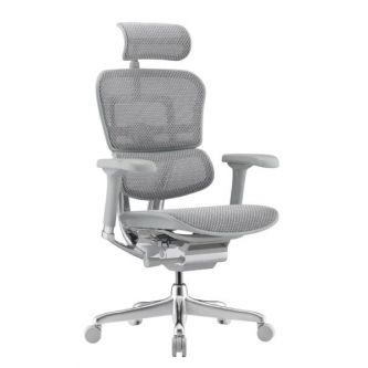 ������������ ������ Falto Ergohuman 2 Elite �����, �����