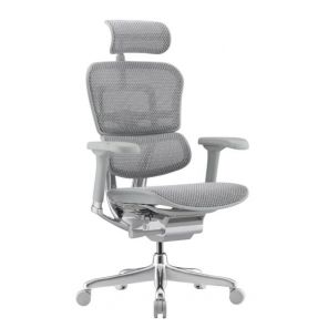 ������ Falto Ergohuman 2 Elite �����, �����