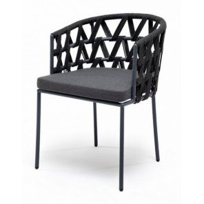 ������ 4SIS �����