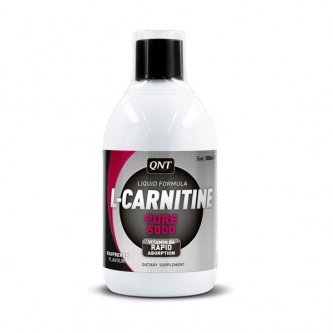  L- QNT L-Carnitine Liquid Formula 500 