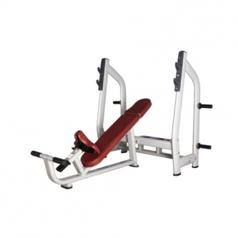 ������ ��� ���� ��������� Bronze Gym H-25