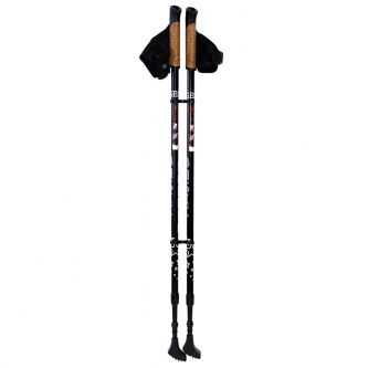 Палки для скандинавской ходьбы GESS Basic Walker 919