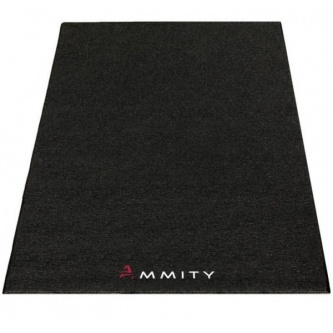    Ammity 1300